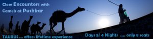 <img src="pushkar cattle fair for camels.jpeg" alt="best photo tour experience pushkar rajasthani culture, festivals and folk art luxury nomadic unique experience of offbeat outdoor overlanding camp for best photography rural rajasthan">