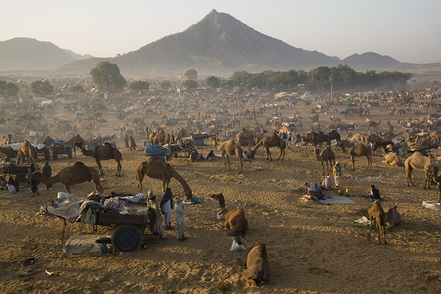 <img src="best escorted photo tour of pushkar cattle fair.jpeg" alt="offbeat guided curatedunique experience photo tour of pushkar cattle fair best photography opportunities star trails, milkyway, light painting taurus overlanding campervan caravan camp at pushakr rajasthan india">