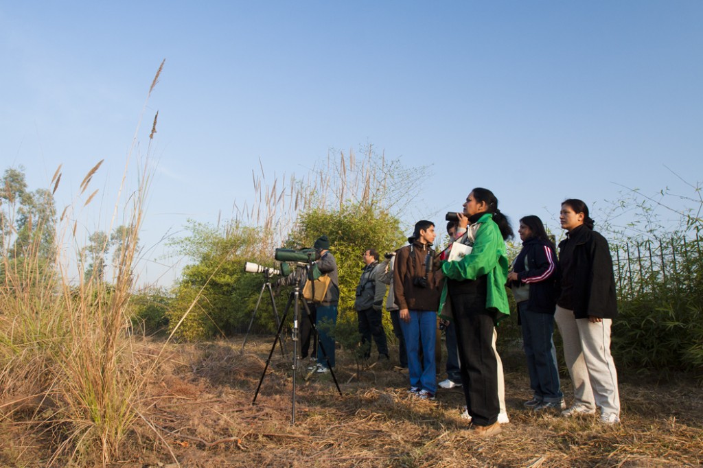 <img src="birding with campervan caravan campingindia india.jpeg" alt="birding tours with caravan campervan overlanding organised with best motorhome for passionate birders and birding couples, photo tours, to relax, rejuvenate with nature, secluded camp locations with overland truck india">   