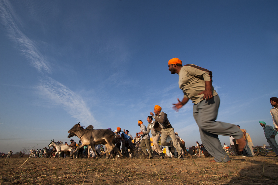 best escorted and curated photo tour of punjab kilaraipur rural games, caravan campervan RV offers best place to stay at kilaraipur punjab india.