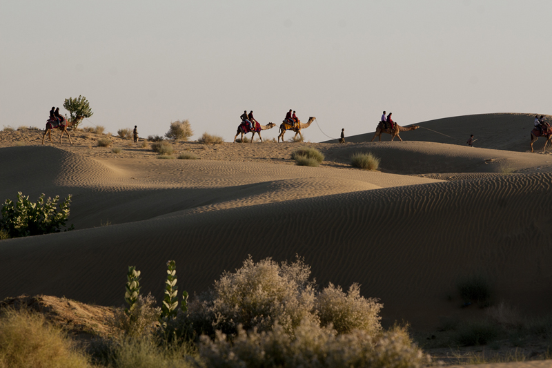<img src="camel safari sand dunes.jpeg" alt="caravan campervan overlanding camp camping in rural setting surrounded by virgin sand dunes in a village near jaisalmer">    