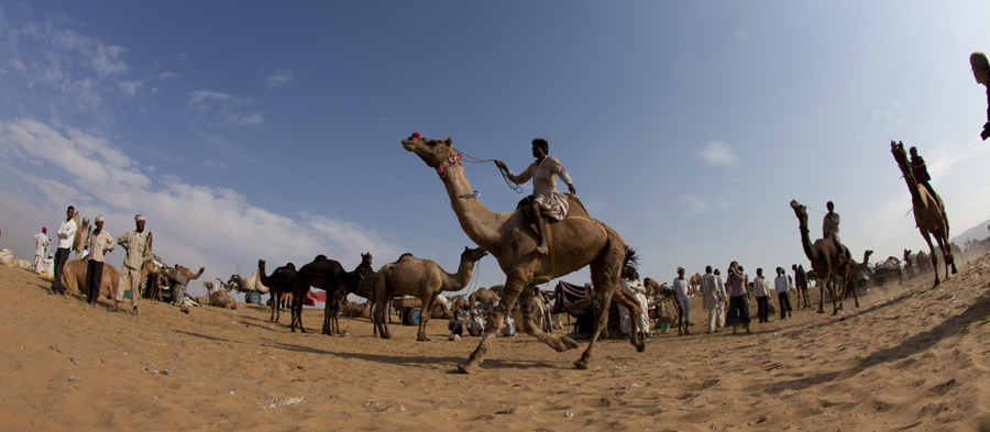 <img src="photographer shooting pushkar.jpeg" alt="luxury nomadic unique experience of outdoor overlanding camp for best photography of camels at pushkar quiet secluded place next camel ground very intimate experience">  