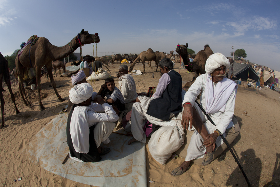 <img src="camel cart ride pushkar.jpeg" alt="luxury nomadic unique experience of outdoor overlanding camp for best photography of camels at pushkar quiet secluded place next camel ground very intimate experience">  