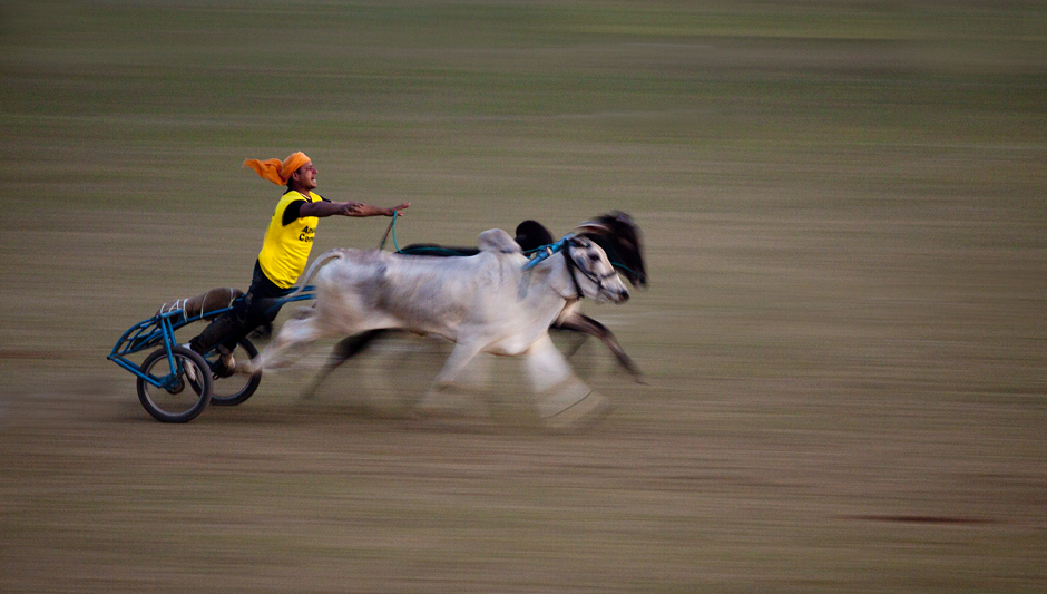 <img src="bulloack cart race.jpeg" alt="best escorted and curated photo tour of punjab kilaraipur rural games, campervan offers best place to stay at kilaraipur">