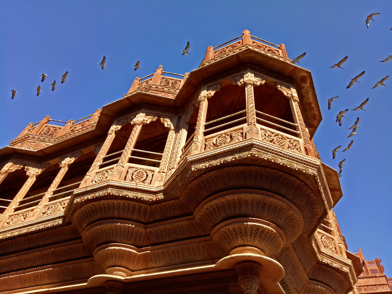 offbeat guided curated unique experience photo tour of khichan and pushkar cattle fair best photography opportunities star trails, milkyway, light painting  taurus overlanding campervan caravan camp at pushakr rajasthan india.