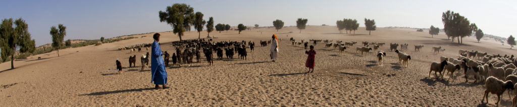 <img src="offbeat caravan campervan holidays.jpeg" alt="offbeat secluded exclusive exotic vacation rural rajasthan camping exotic safe campervan vacation overlanding holiday onboard overland truck vanlife in wilderness caravan and campervan for best for family holidays in village setting of jaisalmer">
