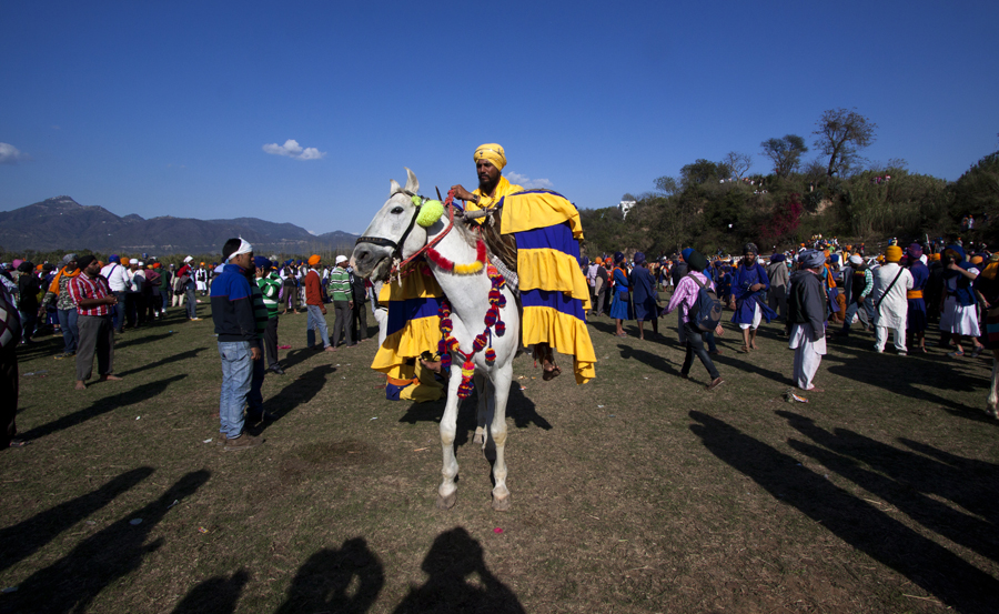 nihang sikh on a horse as drummer in hola mohalla in punjab.