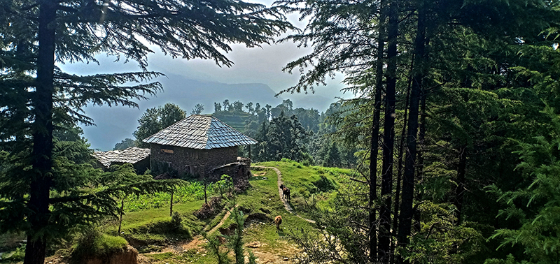 <img src="barot valley caravan campervan himachal pradesh.jpeg" alt="barot valley caravan motorhome campervan in himachal for offbeat nomadic overlanding camp corona safe holiday social distancing">