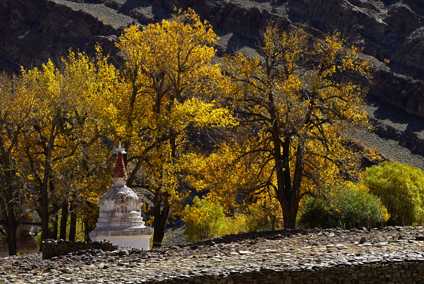 img src="caravan campervan photo tour ladakh.jpeg" alt="photo tour ladakh in fall colours of autumn with caravan campervan overlanding holiday in wilderness onboard overland truck ladakh covid19 corona safe soft adventure india">     