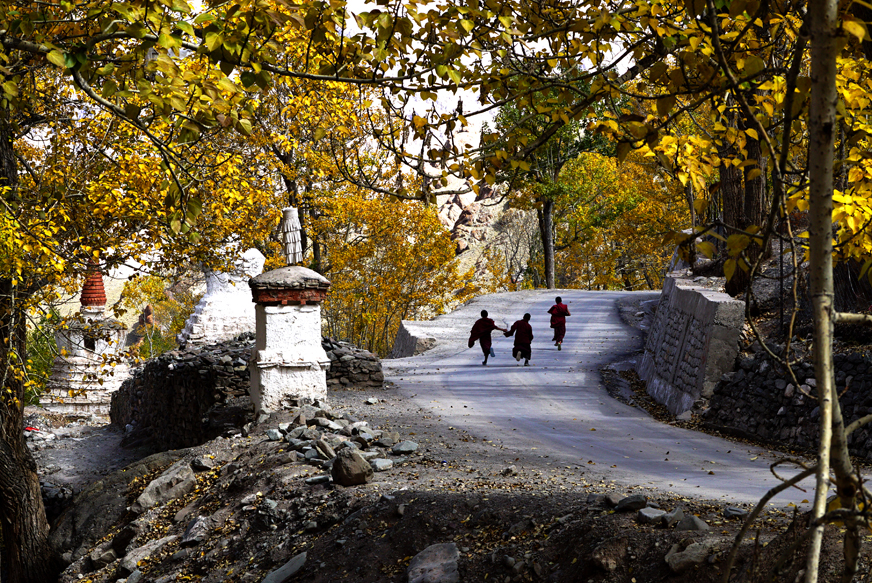 img src="caravan recreational vehicle photo tour ladakh.jpeg" alt="photo tour ladakh in fall colours with caravan campervan overlanding holiday in wilderness onboard overland truck ladakh covid19 corona safe soft adventure india">    