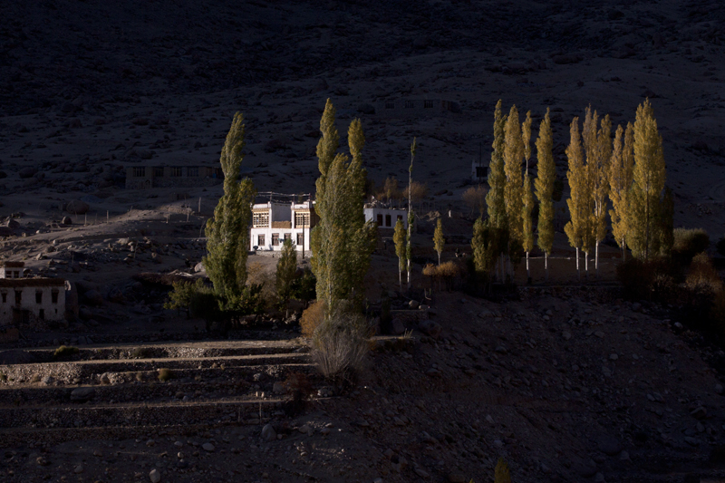 img src="caravan campervan photo tour ladakh.jpeg" alt="photo tour ladakh in fall colours of autumn with caravan campervan overlanding holiday in wilderness onboard overland truck ladakh covid19 corona safe soft adventure india">     