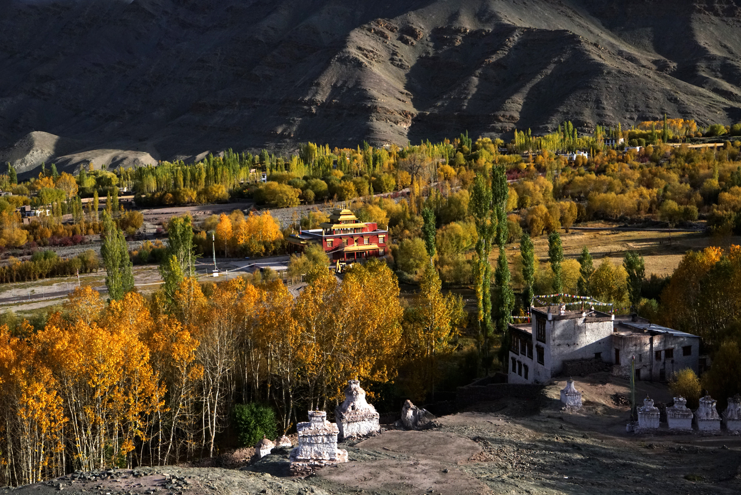 img src="caravan campervan photo tour ladakh.jpeg" alt="photo tour ladakh in fall colours with caravan campervan overlanding holiday in wilderness onboard overland truck ladakh covid19 corona safe soft adventure india">    