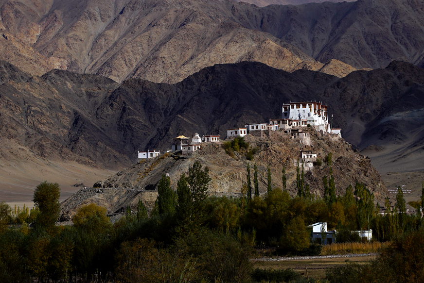 <img src="best photo tour in ladakh caravan.jpeg" alt="best photo tour escorted curated and guided with caravan campervan stakna monastery ladakh in offbeat camp on the banks of river indus">      