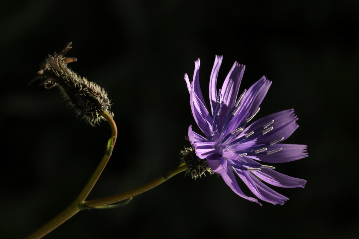 <img src="photo tour.jpeg" alt="best photo tour offbeat private and exclusive wilderness pristine virgin locations with all comforts of camp flower photography family holidays romantic vacation for couples exotic">