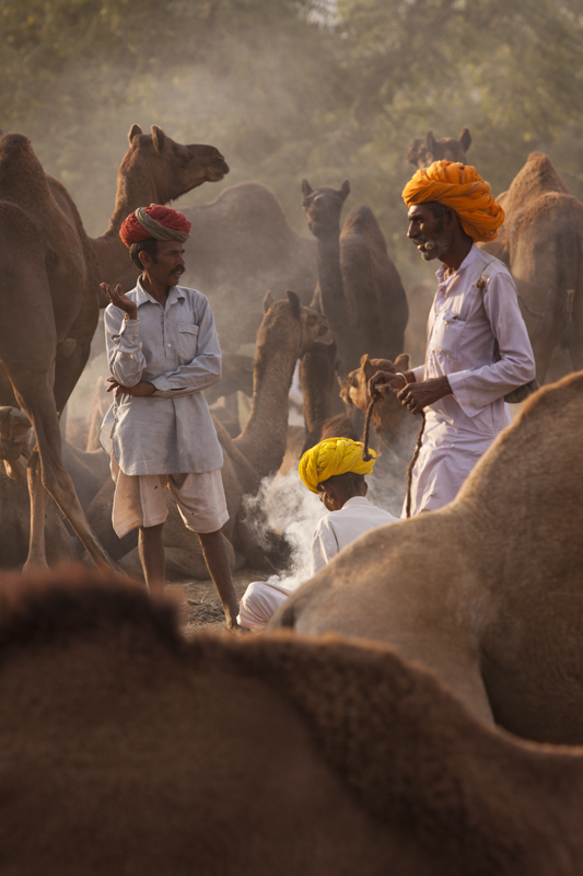 <img src="campervan caravan camping in jaisalmer rajasthan.jpeg" alt="caravan campervan overlanding camp best motorhome for families, couples, photo tours, to relax, rejuvenate with nature, secluded camp locations with overland truck in jaisalmer rajasthan"> 