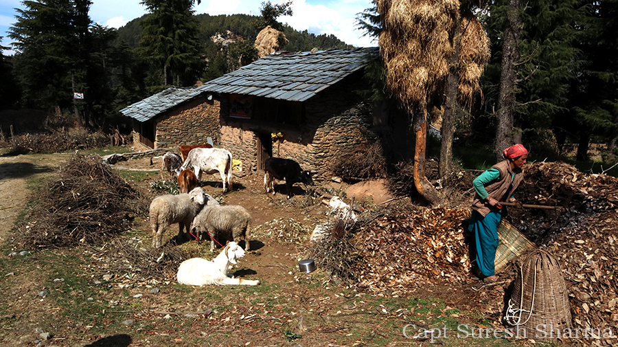 <img src="caravan holidays rural life of himachal HP.jpeg" alt="rural india best in himachal campervan camping vacation overlanding overland truck vanlife camp experience wilderness motorhome rv for best family holiday and couple himachal pradesh india">