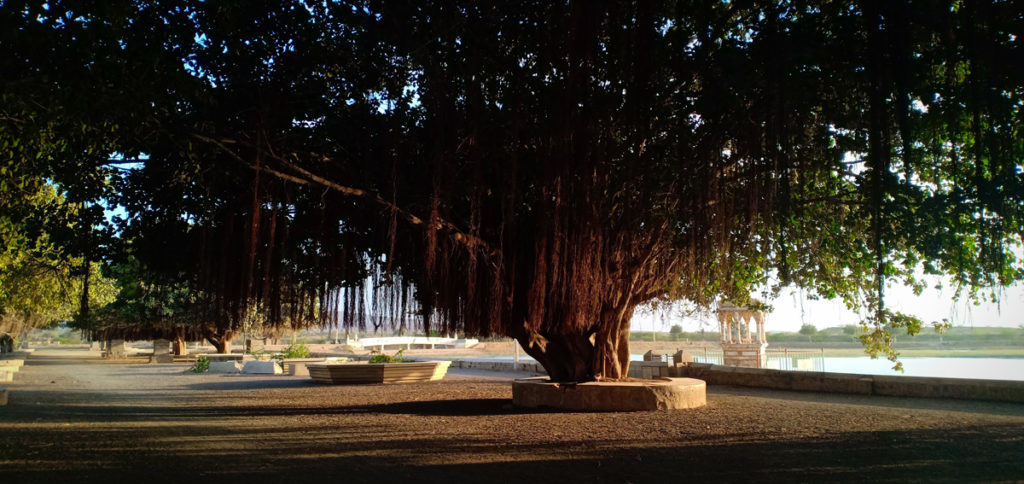 <img src="offbeat holidays in campervan kutch.jpeg" alt="offbeat secluded exclusive exotic vacation covid19 corona safe campervan vacation overlanding holiday onboard overland truck vanlife in wilderness caravan and campervan for best for family holidays kutch gujarat india">
