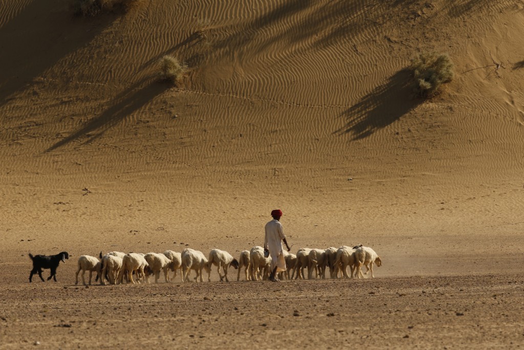 <img src="campervan caravan jaisalmer rural rajasthan.jpeg" alt="caravan campervan overlanding camp best motorhome to enjoy sand dunes of rural rajasthan secluded camp locations with overland truck in jaisalmer">  