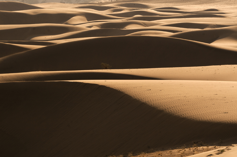 <img src="virgin pristine untouched sand dunes.jpeg" alt="pristine pure virgin sand dunes indo pak border away from touristy crowd">       