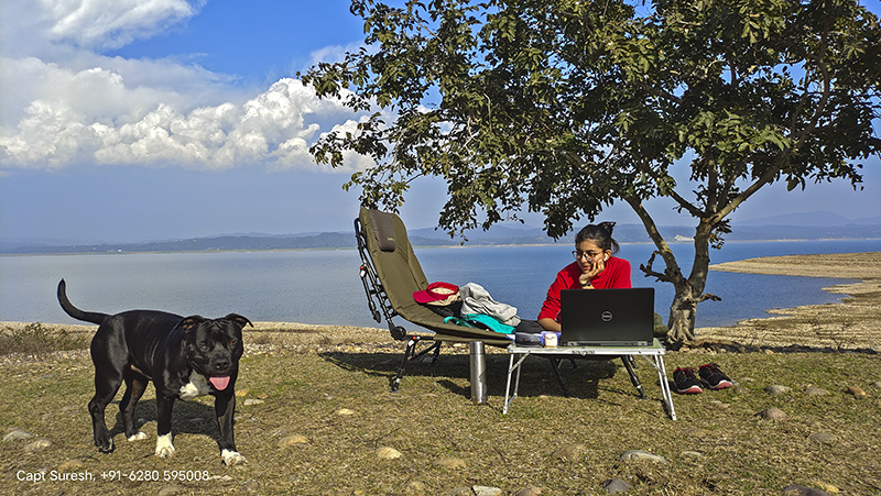 workation for single women staycation safe for single woman girl with comforts caravan camp offbeat locations nomadic holidays with campervan himachal pradesh india. 