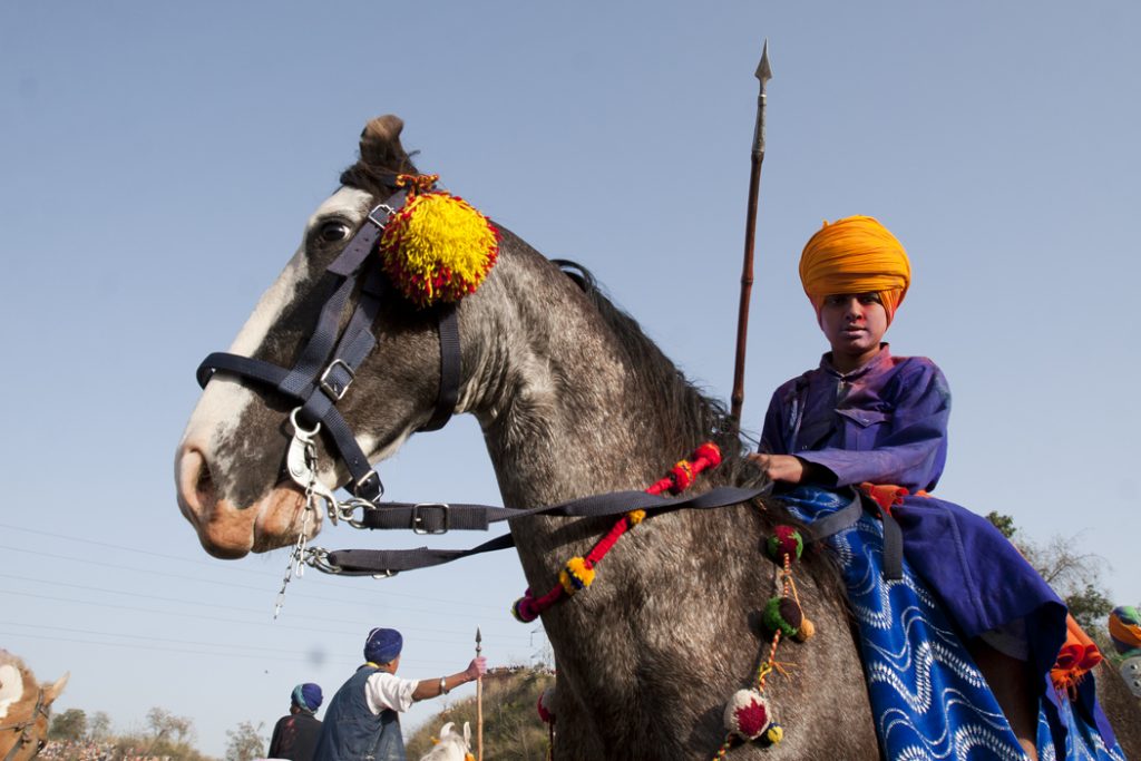 young nihang sikh warrior on a horse at anandpur sahab during hola mohalla festival.