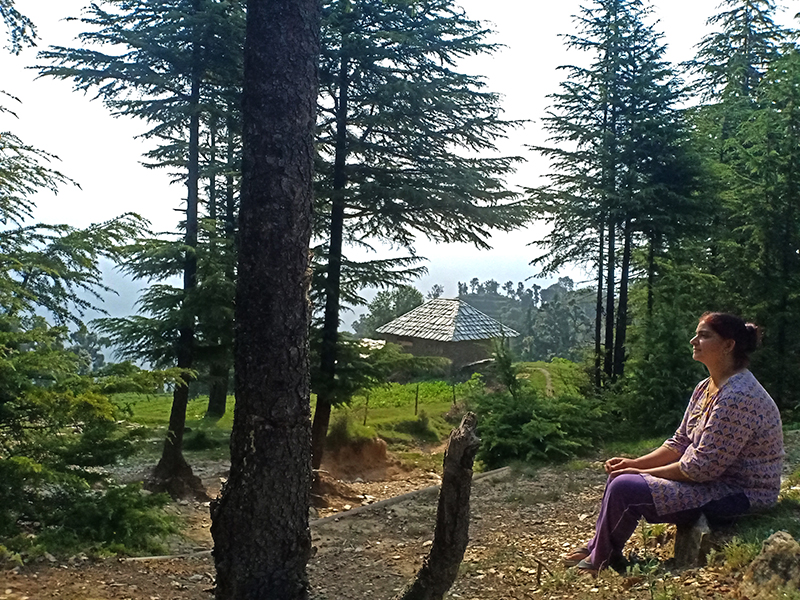 <img src="barot valley safe holidays women gilrs himachal.jpeg" alt="barot valley safe offbeat holidays for single woman women solo girls in himachal for nomadic caravan campervan camp corona safe holiday social distancing">