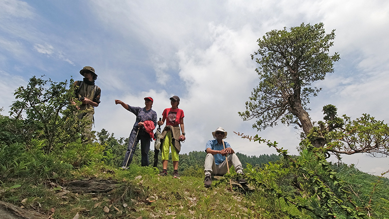 <img src="barot valley offbeat camping himachal.jpeg" alt="offbeat nomadic holiday for families couples romantic outdoor experience camp to relax unwind quiet place at secluded locations barot valley in himachal pradesh">